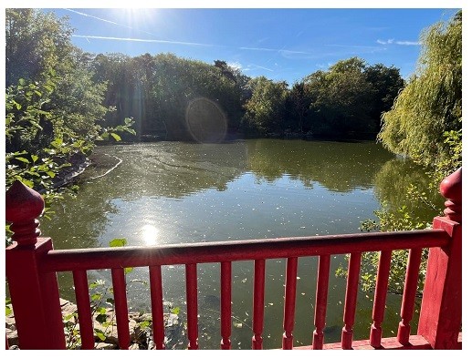 Parc Rothschild: 15 hectares de nature au cœur de la ville!