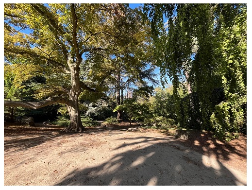 Parc Rothschild: 15 hectares de nature au cœur de la ville!
