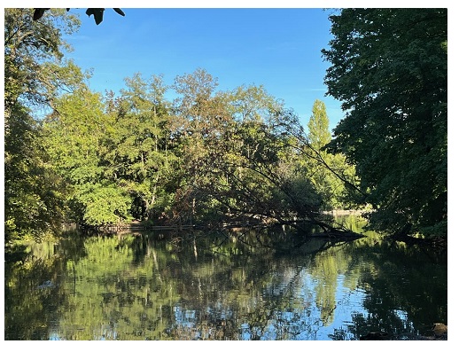 Parc Rothschild: 15 hectares de nature au cœur de la ville!