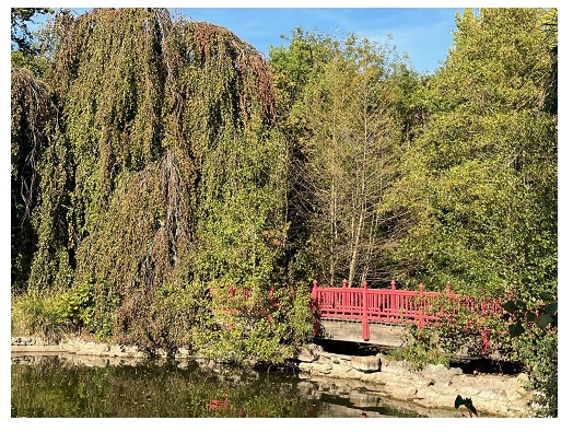 Parc Rothschild: 15 hectares de nature au cœur de la ville!