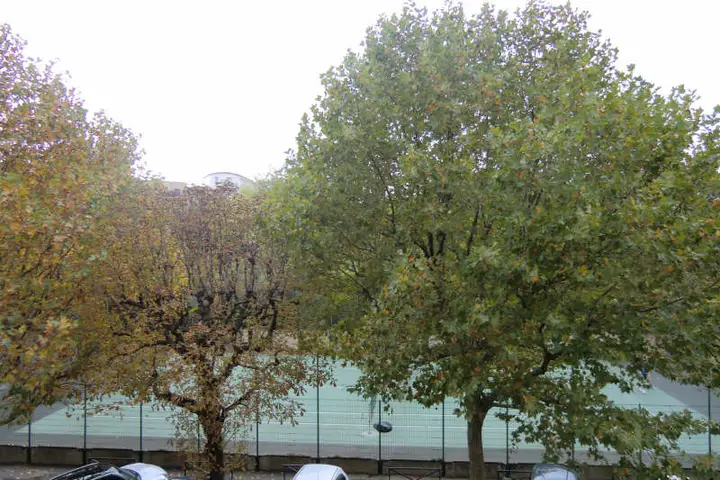 Appartement 3 pièces, 54 rue de Meudon